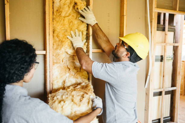 Best Best Insulation Companies  in Westchase, FL